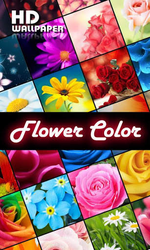 My Flowers Colors HD WALLPAPER screenshot 2