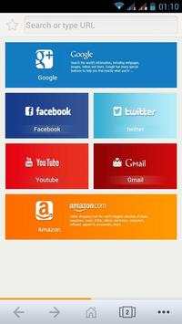 Flash  Browser screenshot 4