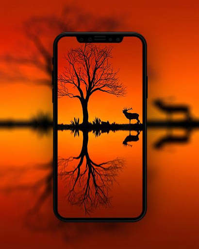 Orange Wallpapers HD screenshot 7