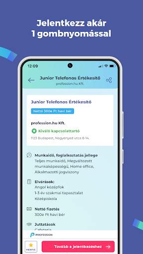 Profession - állások azonnal screenshot 4
