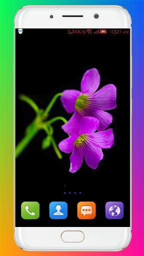 Purple Flower Wallpaper screenshot 7