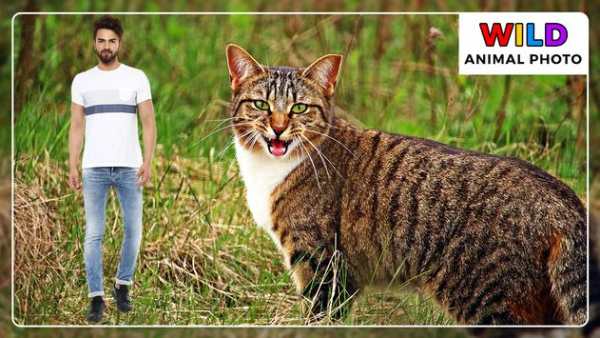 Wild Animal Photo Editor screenshot 8