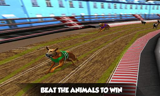 Crazy Real Dog Race: Greyhound Racing Game screenshot 3