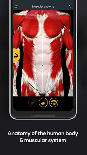 Anatomy by Muscle & Motion screenshot 3