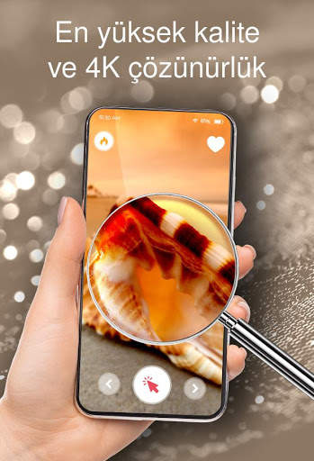 Kabukları ile Duvar Kağıtları screenshot 4