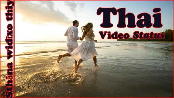 Thai Video Status 2 تصوير الشاشة