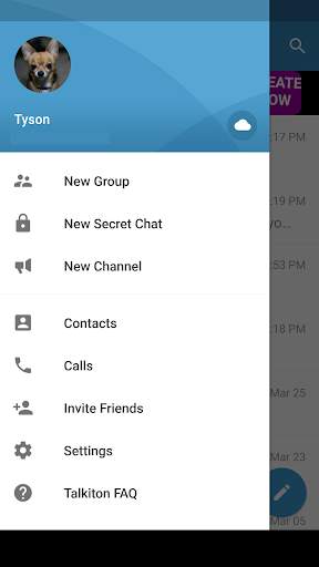 Talkiton - Free Global Texting screenshot 1