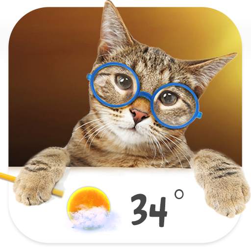 Cat weather widget 16.6.0.6270_50153