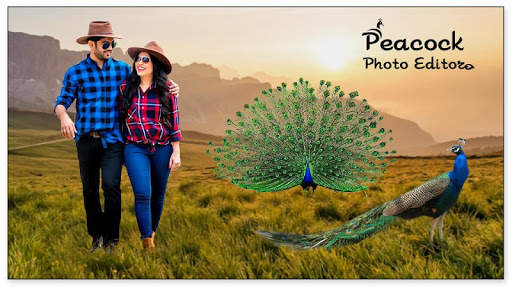 Peacock Photo Editor screenshot 5