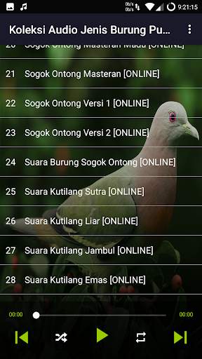 Suara Punai: Green Pigeon screenshot 6
