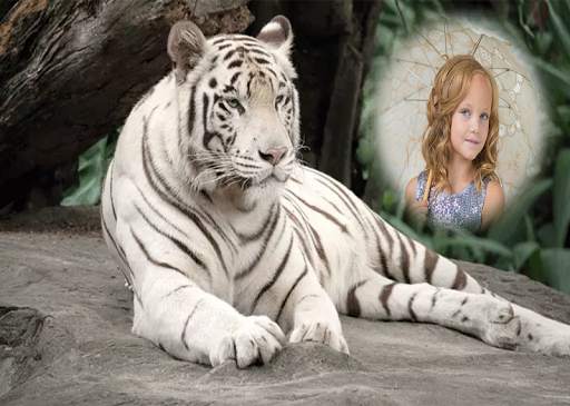 Wildlife Photo Frames screenshot 1