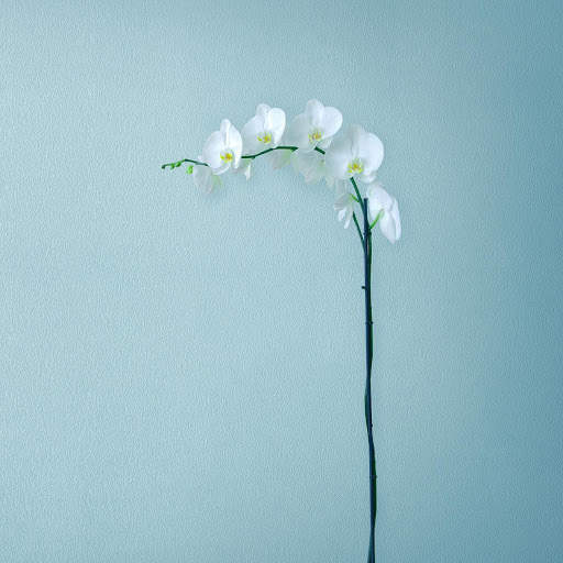 Wallpaper for Huawei Mate 10 screenshot 6
