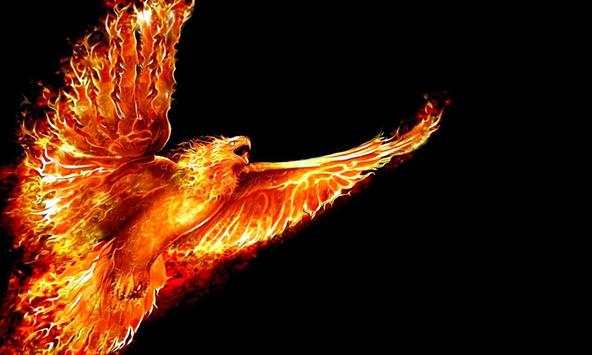 Rising phoenix wallpapers screenshot 2