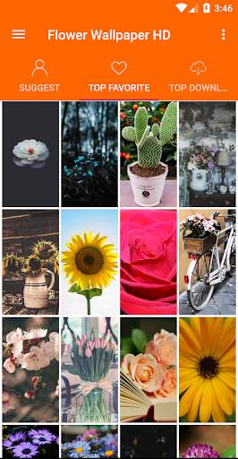 Flowers Wallpaper 4K screenshot 2
