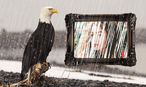 Rain Photo Effect Editor screenshot 4