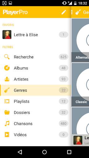 PlayerPro Skin Flatty Yellow screenshot 4