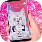 cat in phone funny joke