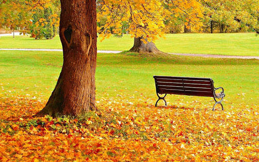 Autumn Wallpapers 10 تصوير الشاشة