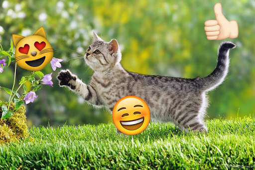 Emoji Photo Sticker Maker Pro screenshot 1