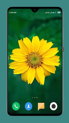 Flowers Wallpaper 4K 11 تصوير الشاشة