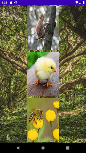 Match Animal Sounds screenshot 2