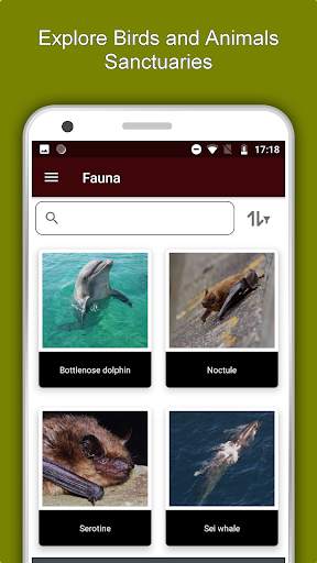 Tainan Travel & Explore, Offline Tourist Guide screenshot 5