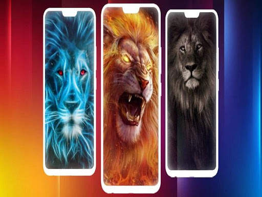 Lion Wallpaper screenshot 3