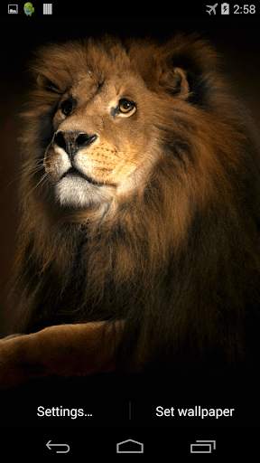 Lion 3D Live Wallpaper screenshot 3