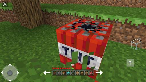 Mini Voxel Craft 3D 2021 स्क्रीनशॉट 4