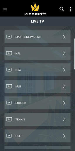 Kingpin Media Player screenshot 2