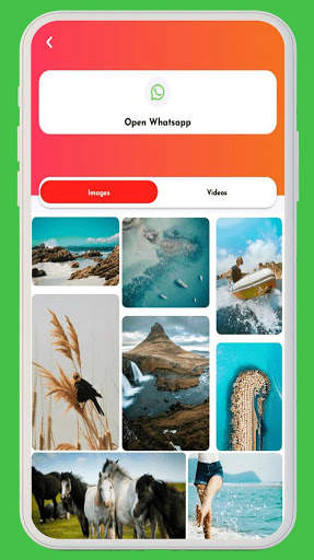 Social Media Content Downloader - Photo & Video screenshot 5