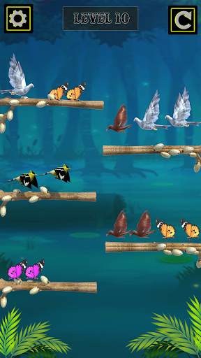 Colored Bird Sort Puzzle screenshot 5