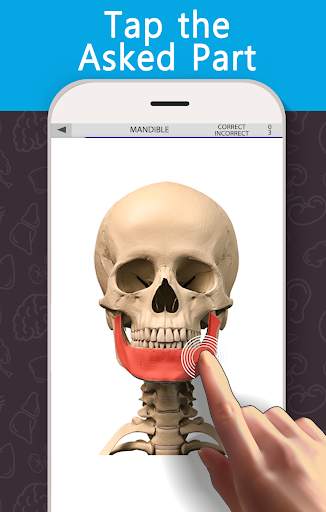 Anatomy Game Anatomicus Lite screenshot 5