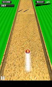 Rogue Cricket Ball screenshot 1