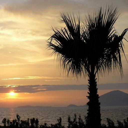 Kos App für den Urlaub icon