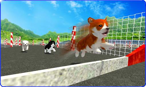Cute Puppy Dog Racing Sim 2017 screenshot 2