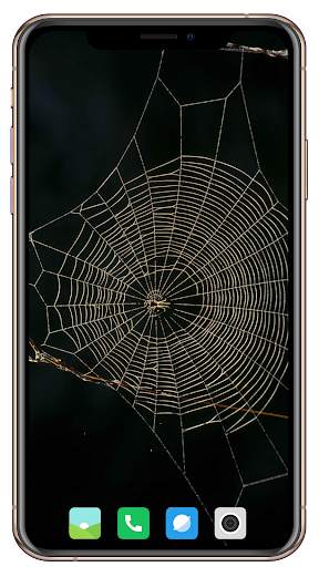 Spider Wallpaper screenshot 15