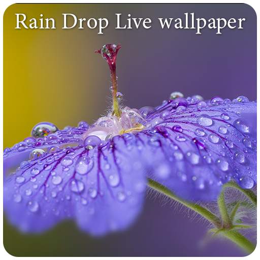 Rain Drop Live Wallpaper 1.0.7