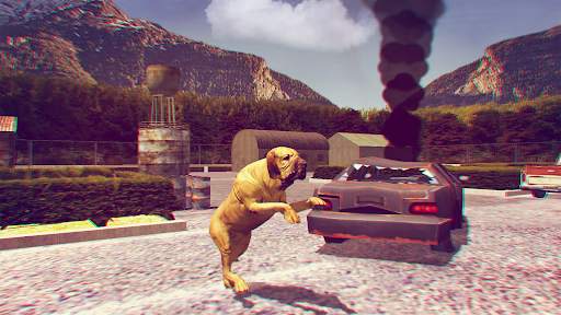 Fila Brasileiro Simulator screenshot 3
