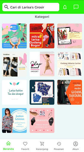 LARISA GROSIR screenshot 3