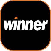 CASINO EN LÍNEA MX | GUÍA DE JUEGOS WINNER logo