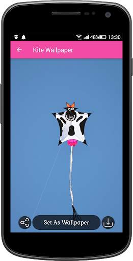 Kite Wallpaper screenshot 5