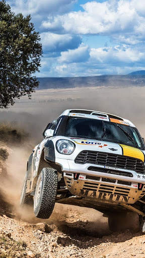 Cool Rally Fury Cars Wallpaper скриншот 3