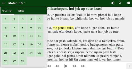 Romani Sinti Matthew screenshot 3