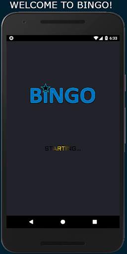 Bingo: 5 Line Game screenshot 1