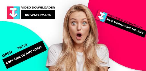 TikTok Video Downloader screenshot 1