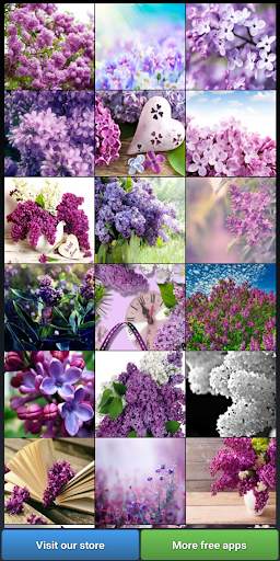 Lilac Wallpapers screenshot 1