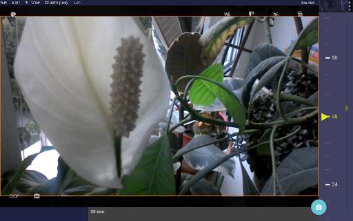 Magic Nikon ViewFinder Free 13 تصوير الشاشة