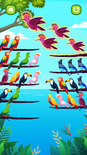 Bird Sort Puzzle screenshot 2