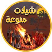 شيلات منوعة 3.1